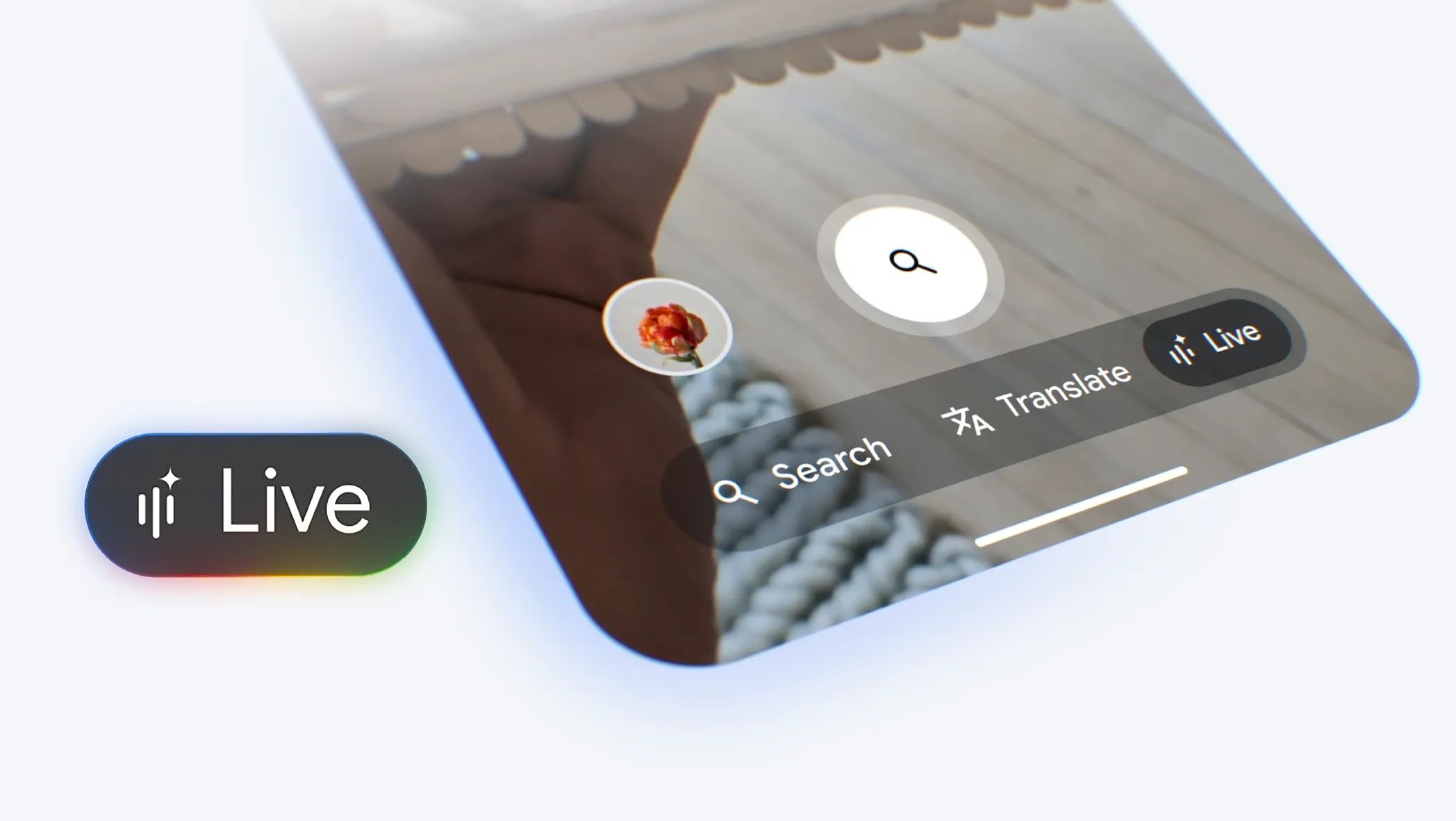 search live google update