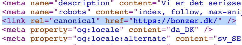 Canonical og hreflang i kildekoden