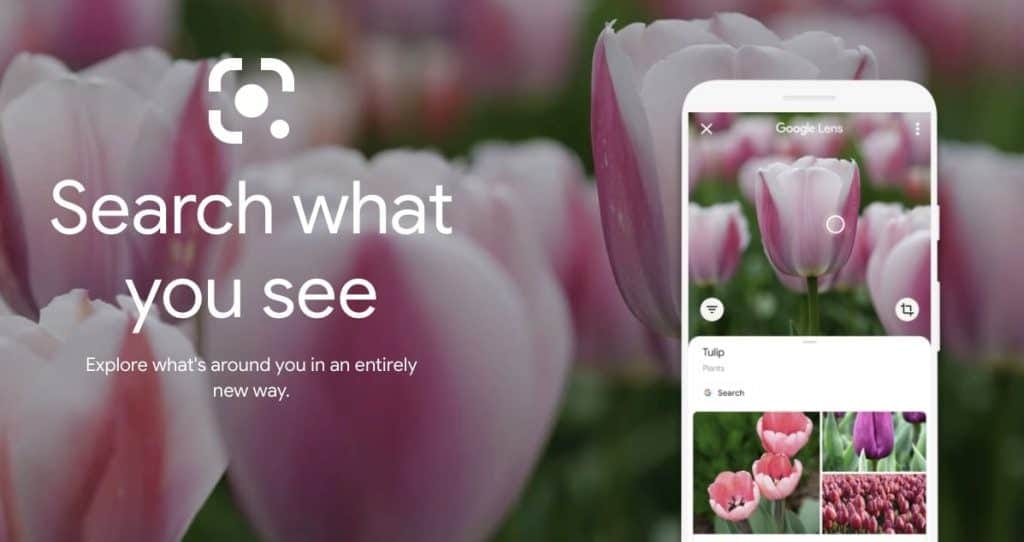 Google Lens brukt til å søke med kameraet