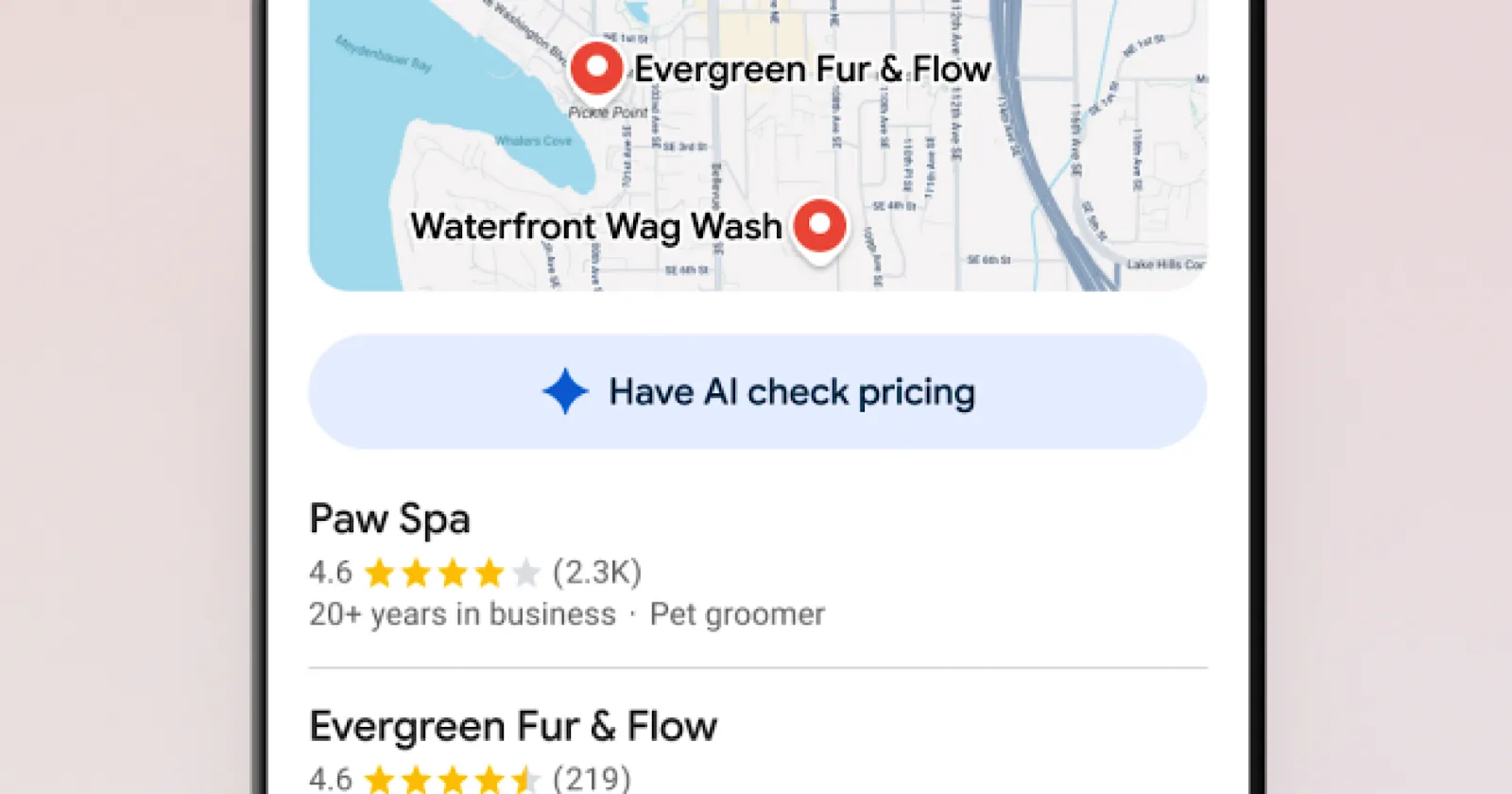 billede af googles have AI check pricing