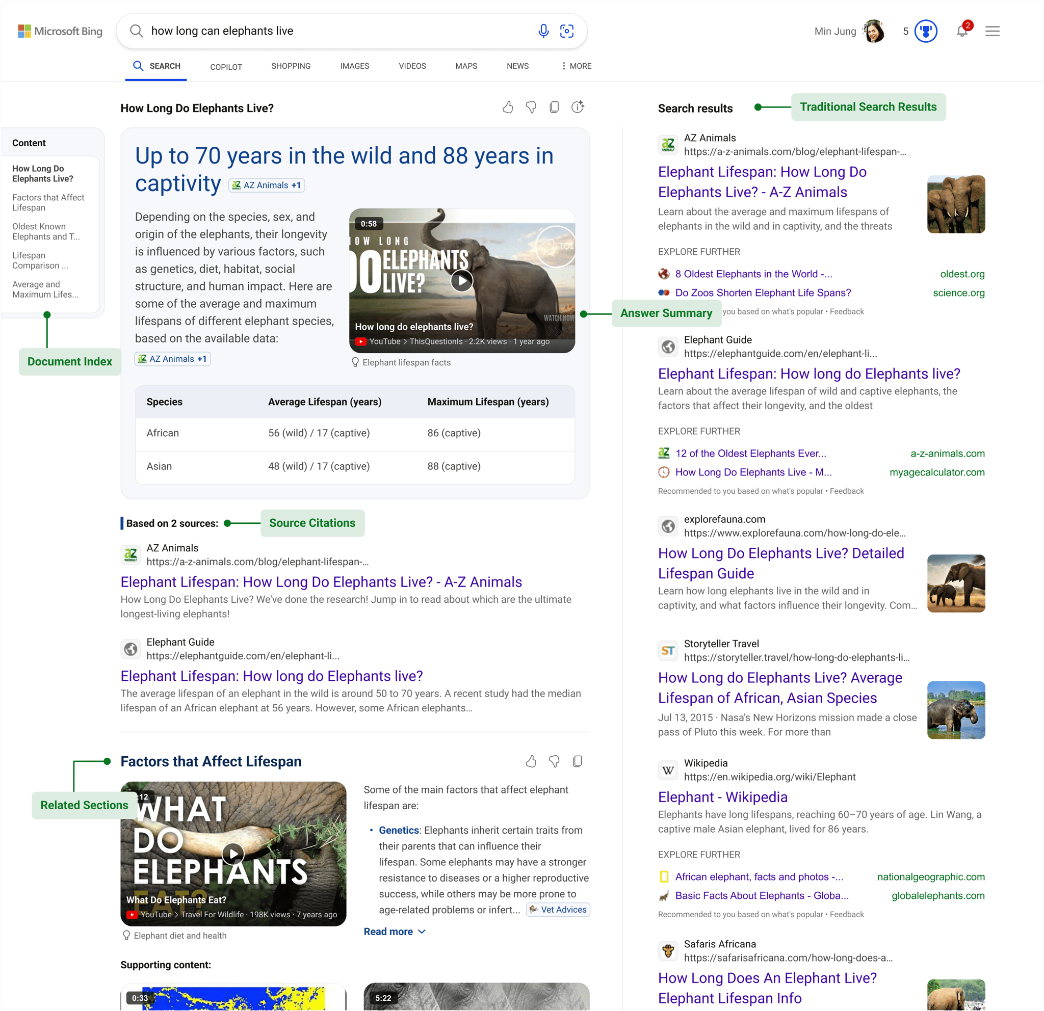 bing ai søgning eksempel på elefanter